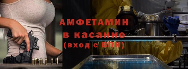 mdpv Бородино