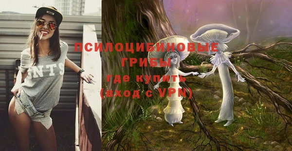 apvp Тольятти