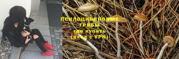 mdpv Бородино