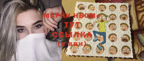 mdpv Бородино