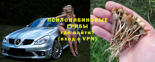 mdpv Бородино