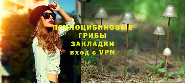 прущий лед Бронницы