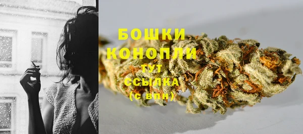 прущий лед Бронницы